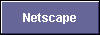  Netscape 