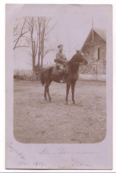 Portrait of an officer on horseback. Sitting on his horse, an officer poses for this photograph in an open courtyard, with buildings on the right and behind him, and what may be a bridge in the left background. Written at the bottom of the card is the date 'Nov. 1917', and what looks like 'Ltn. Dammam'.