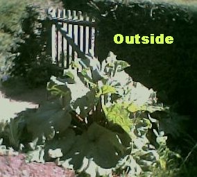 jpeg heading: 'Outside'.