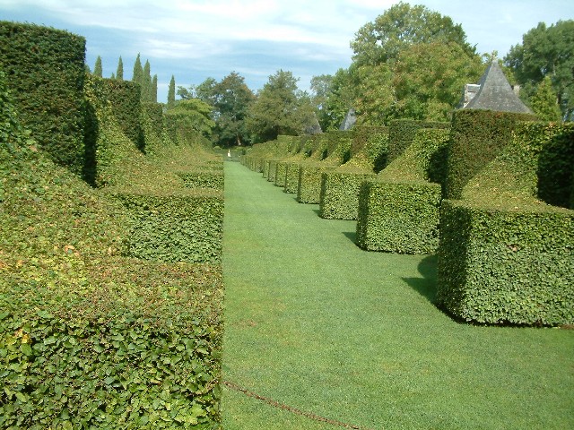 Topiary at Eyrignac