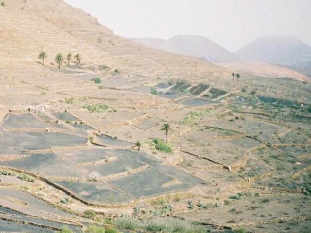 Terraced fields from the road north.