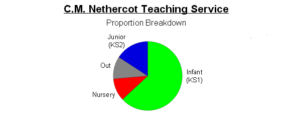 Pie chart of my teaching service