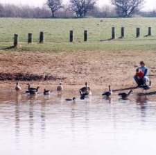 Humberston Country Park