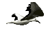 flying bird