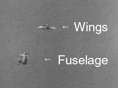 Harvard split in two