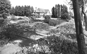 Timbers over the rose garden