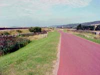 {short description of image}