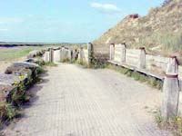 {short description of image}