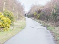 {short description of image}