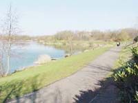 {short description of image}