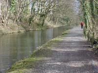 {short description of image}