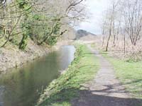 {short description of image}