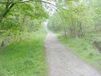 {short description of image}