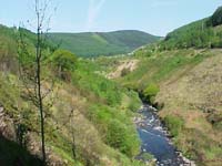 {short description of image}